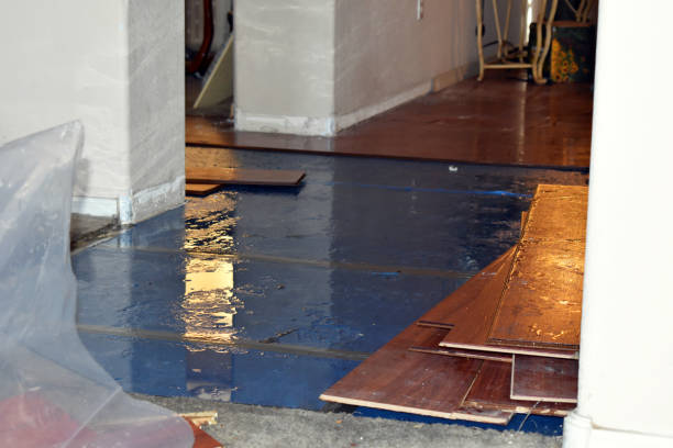 Professional Water Damage Restoration technician working in West Newfield, ME
